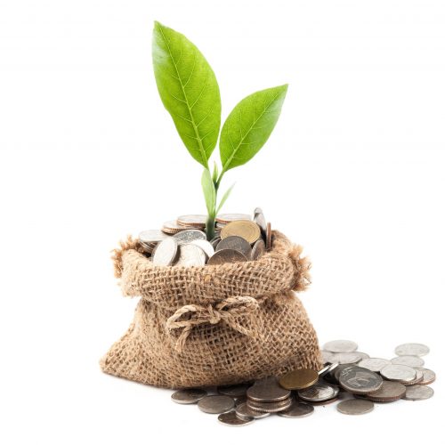 Coins and plant in bag on white background Coins and plant in bag on white background